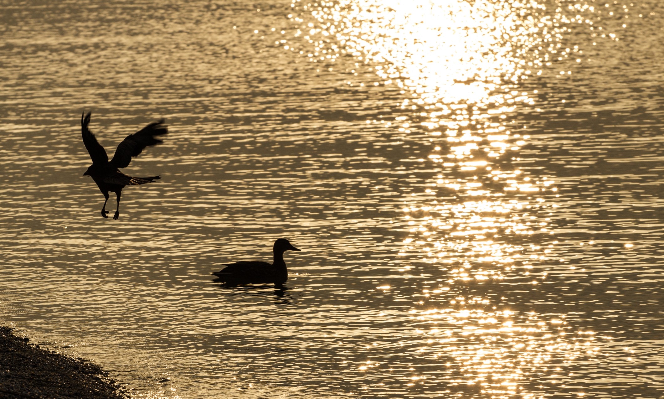 cropped-1.-Januar-1.jpg