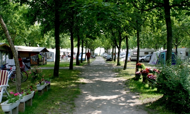 cropped-9-06-03-011-1.jpg