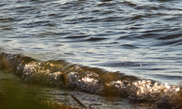 cropped-17.jpg