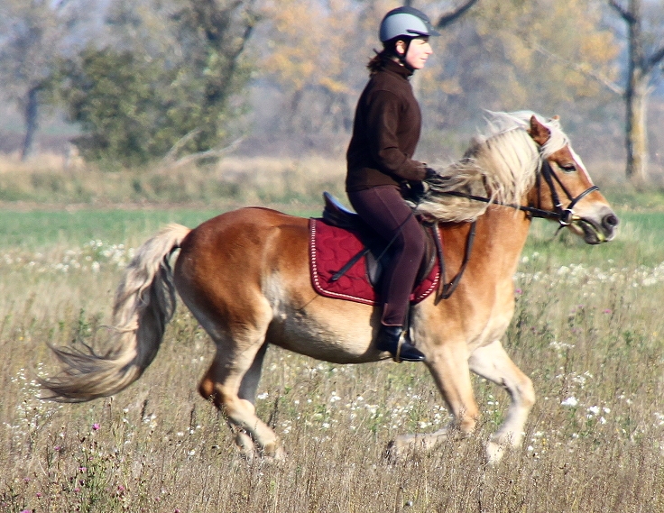 cropped-6a.jpg