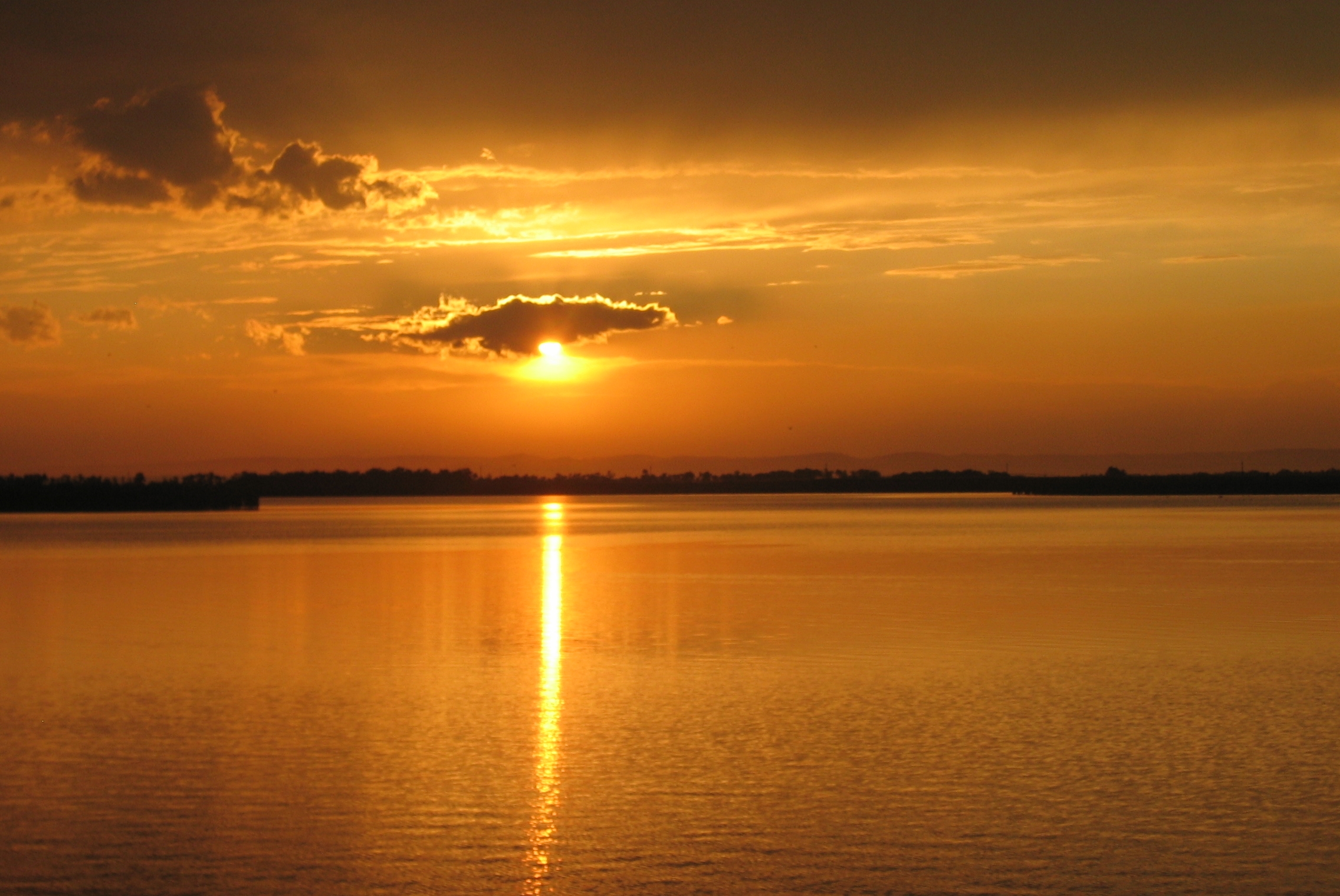 cropped-100_0052.jpg