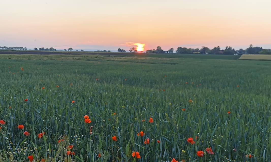 cropped-Sonnenuntergang.jpg